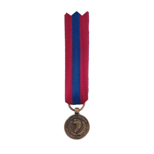 Médaille réduction Défense Nationale Bronze - DMB