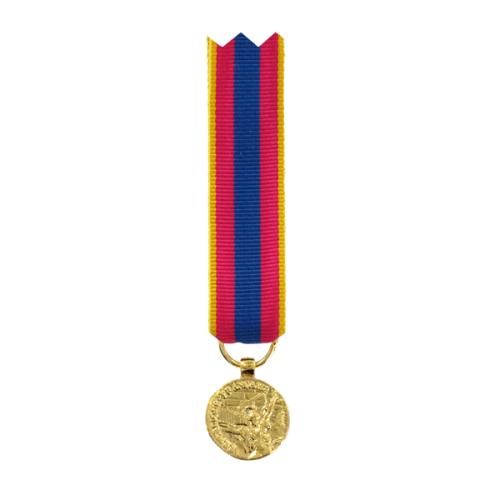 Médaille réduction Défense Nationale Or - DMB