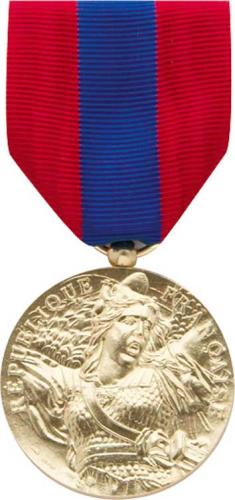 Médaille Ordonnance Défense Nationale Bronze - DMB