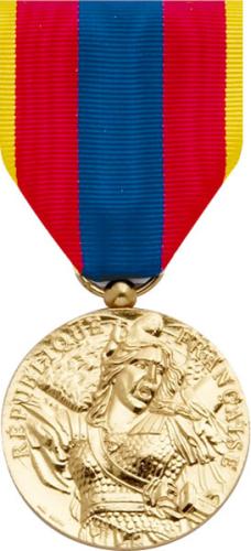 Médaille Ordonnance Défense Nationale Or - DMB